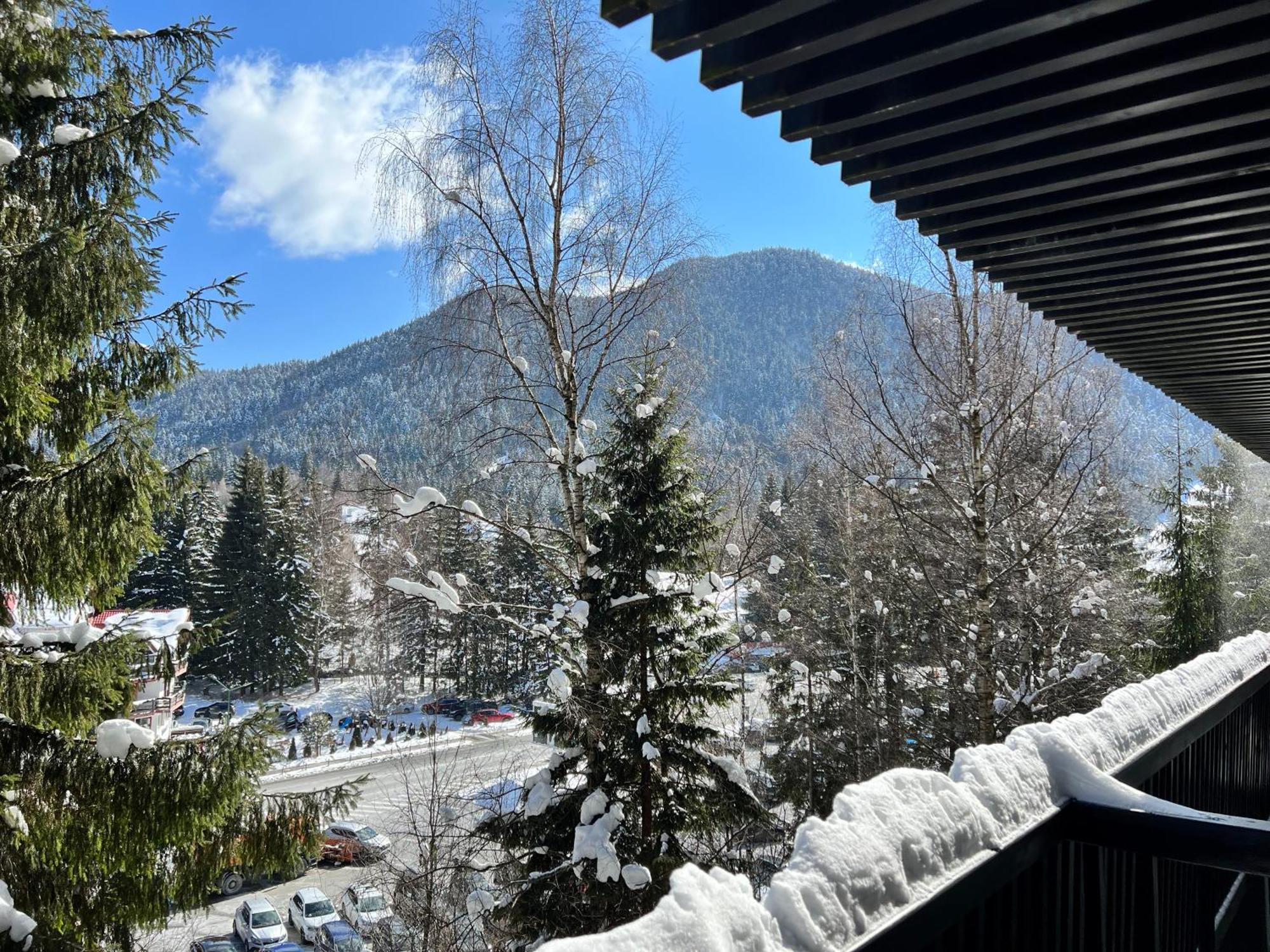 Apartment 2305 Hotel Alpin Poiana Brasov Εξωτερικό φωτογραφία